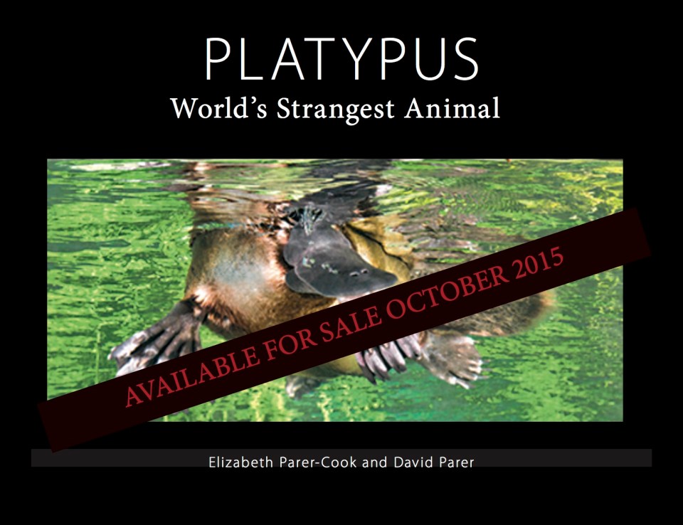 Front cover of Platypus book